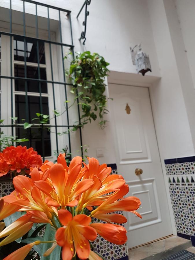 Apartamento Cruz Vieja Jerez de la Frontera Exterior foto
